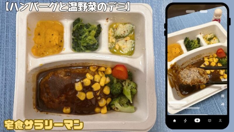 ナッシュ：ハンバーグと温野菜のデミ